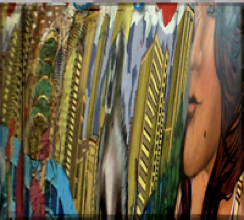 Viva Latinoamérica 2010